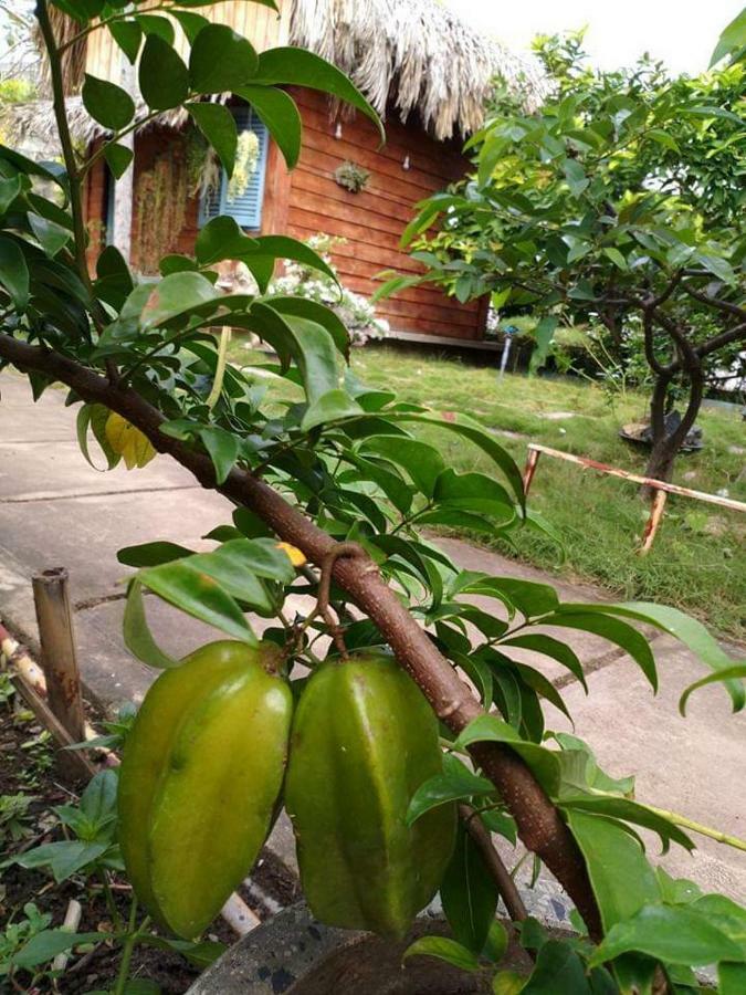 Bach Cuc Homestay Long Hai Luaran gambar